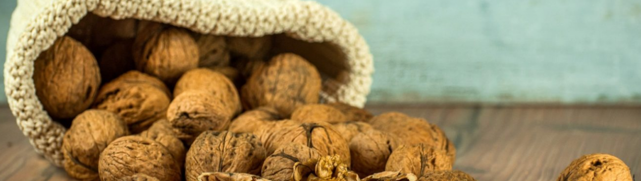 Почему грецкий орех сбрасывает плоды и как это предотвратить? как использовать зеленые орешки?