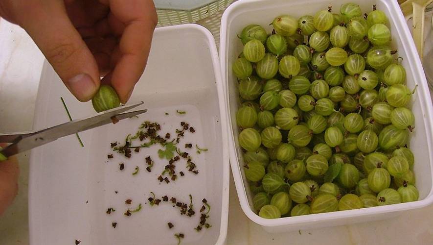Варенье из красного крыжовника