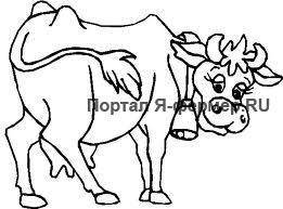 Симптомы отека вымени у коровы после отела и лечение в домашних условиях