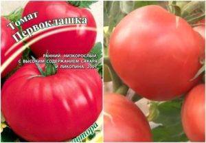 Топ-5 лучших сортов томатов от агрофирмы «гавриш»