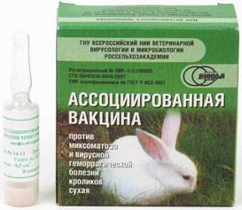 Ассоциированная вакцина для кроликов: виды, инструкция и дозировка