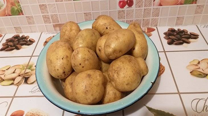 Выращивание картофеля из семян — сложно, но интересно