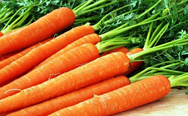 Высокоурожайный гибрид моркови «канада f1»: характеристики и отзывы о выращивании